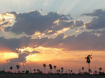 The Hide: Mbiza Pan The Hide: Mbiza Pan