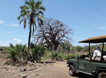 The Outpost: Game Drive