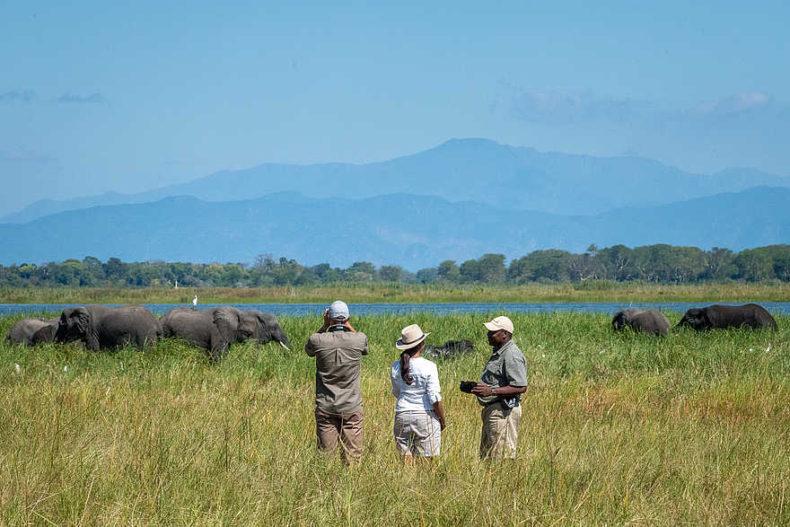 Kuthengo Camp: Walking Safari am Shire River Kuthengo Camp: Walking Safari am Shire River