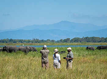 Kuthengo Camp: Walking Safari am Shire River Kuthengo Camp: Walking Safari am Shire River