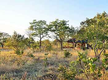 Wildtrack Safaris Eco Lodge: Gästechalet im lichten Busch Wildtrack Safaris Eco Lodge: Gästechalet im lichten Busch