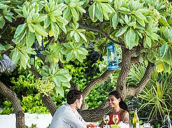 Anantara Medjumbe Island Resort: Dinner unter einem Baum