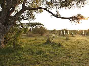 &Beyond Kirkman's Camp: Grüne Umgebung &Beyond Kirkman's Camp: Grüne Umgebung