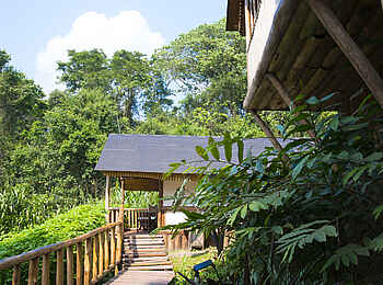 Buhoma Lodge: Gästechalet im Sonnenschein