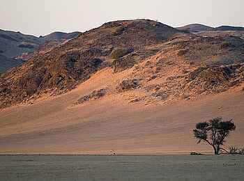 Damaraland Camp: Abendliche Wüstenlandschaft