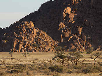 Desert Camp: Landschaft ums Camp Desert Camp: Landschaft ums Camp