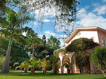 House of Waine: Im Garten House of Waine: Im Garten