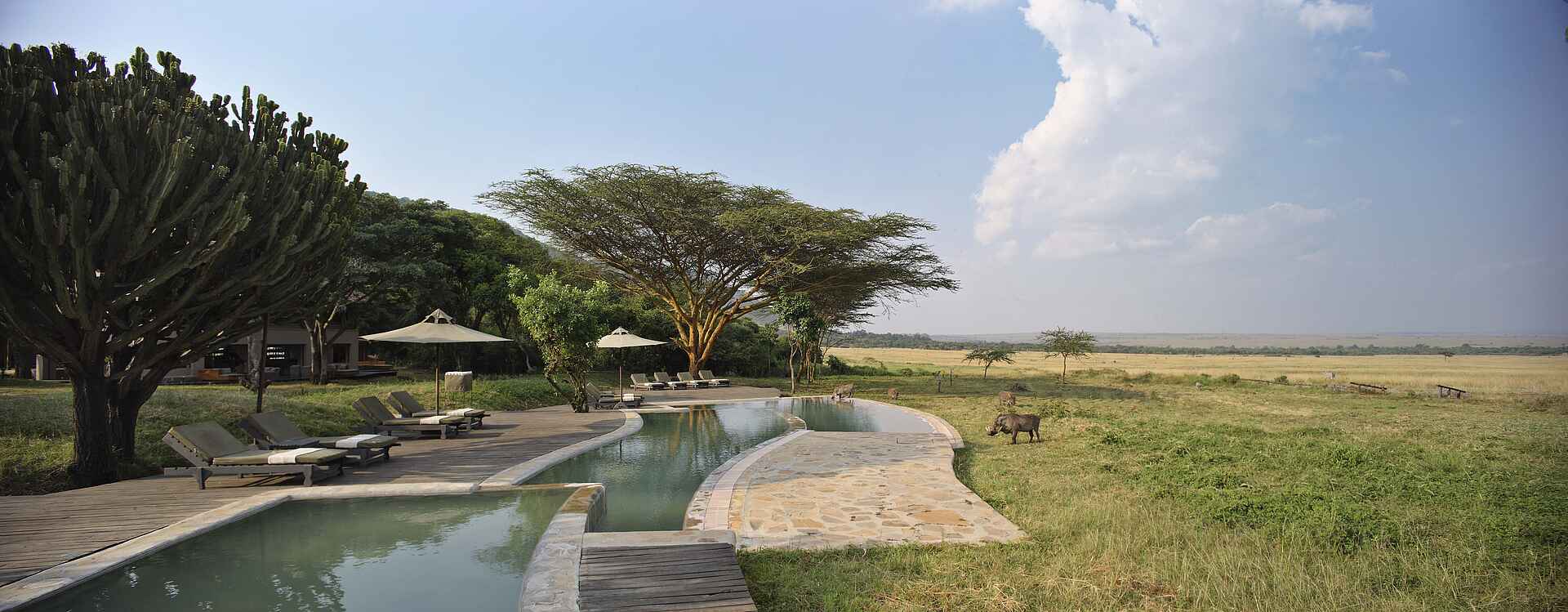 Kichwa Tembo Tented Camp: Swimmingpool kichwa tembo camp, Kichwa Tembo Tented Camp, main area, Swimmingpool