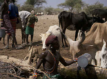 Saruni Rhino: Hirten Saruni Rhino: Hirten