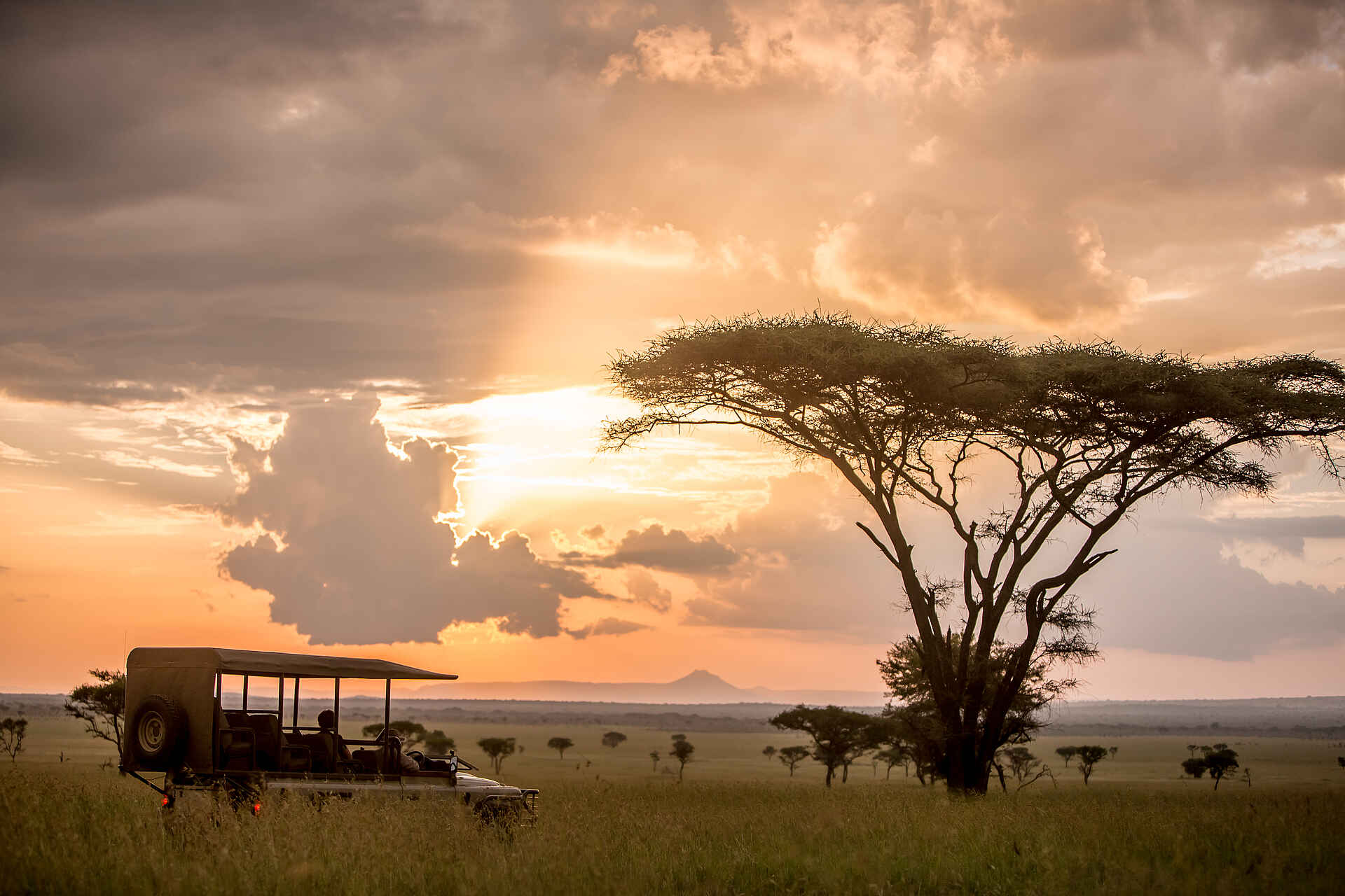Singita Milele: Pirschfahrt in der Serengeti