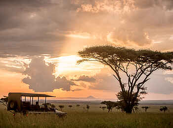 Singita Milele: Pirschfahrt in der Serengeti