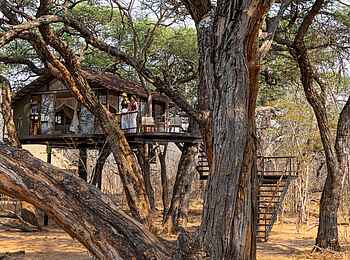Tum Tum Treehouse Lodge: Goshwak Suite Ansicht