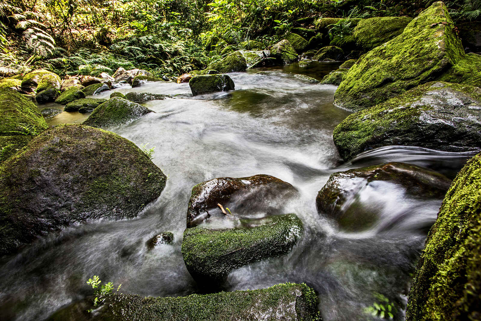 Volcanoes Bwindi Lodge: Bach im Regenwald Volcanoes Bwindi Lodge: Bach im Regenwald