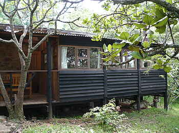 Frog and Fern Cottages: Mzanje Cabin - Dunkles Holz Frog and Fern Cottages: Mzanje Cabin - Dunkles Holz