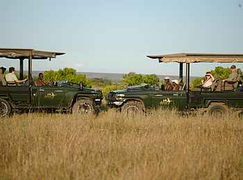 Ilkeliani Camp: Game Drive in der Maasai Mara Ilkeliani Camp: Game Drive in der Maasai Mara