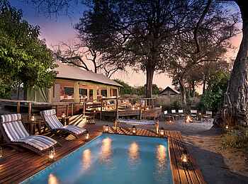 Linyanti Ebony: Swimming Pool Linyanti Ebony: Swimming Pool