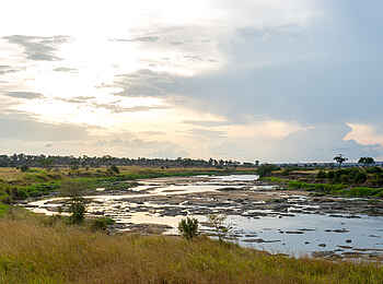 Mara Mara Tented Lodge: Mara River Mara Mara Tented Lodge: Mara River