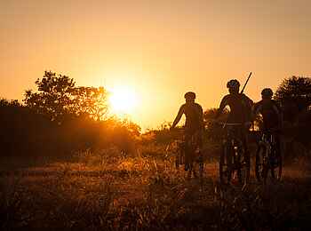 Mashatu Game Reserve: Radfahrer im späten Sonnenlicht
