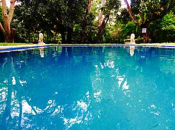 Mt. Meru Game Lodge: Swimming Pool