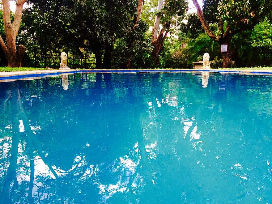 Mt. Meru Game Lodge: Swimming Pool Mt. Meru Game Lodge: Swimming Pool