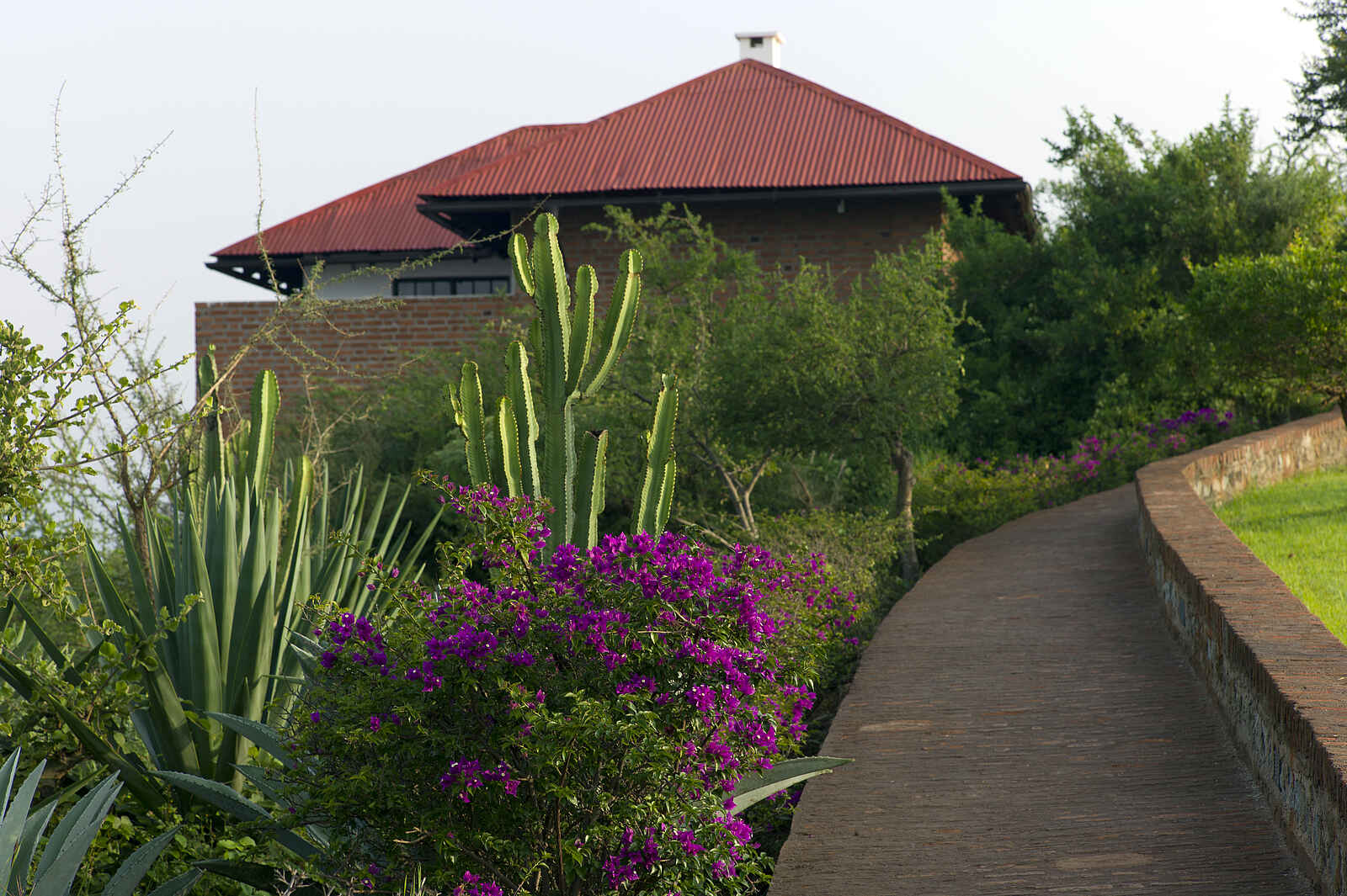 Bashay Rift Lodge: Gartenweg Bashay Rift Lodge: Gartenweg