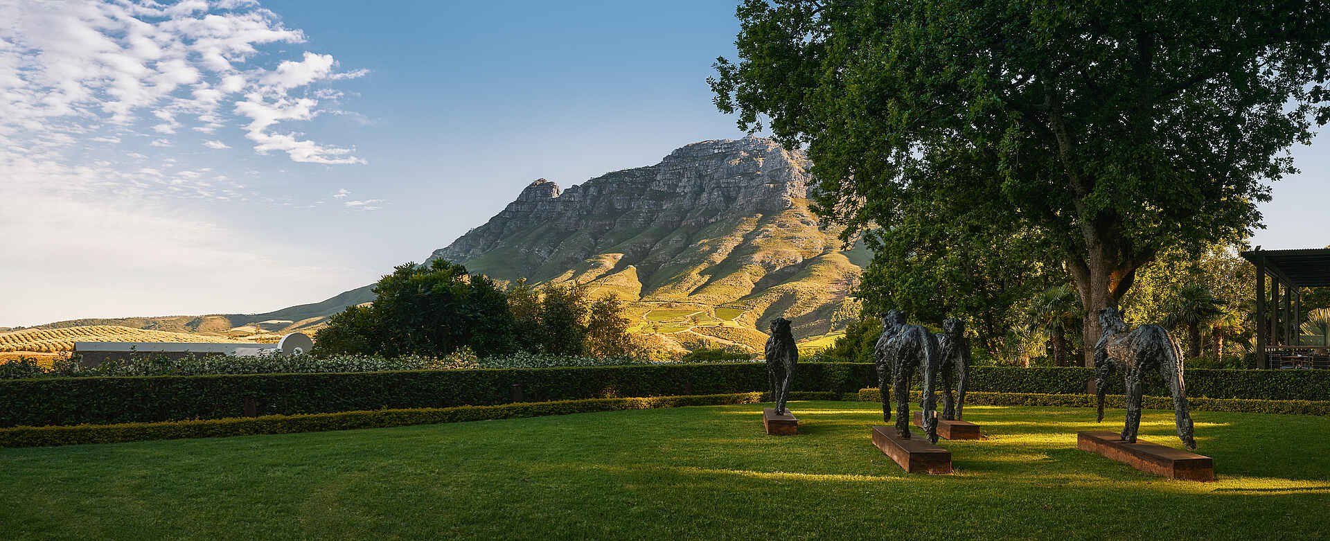 Delaire Graff Estate: Der Garten