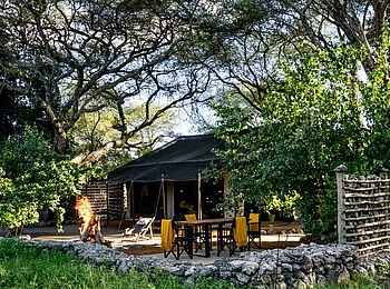 Forest Chem Chem: Restaurant Terrasse Forest Chem Chem: Restaurant Terrasse