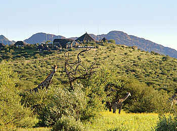 GocheGanas: Lodge und Giraffe