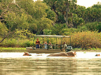 Lake Manze Camp: Nilpferde im Wasser Lake Manze Camp: Nilpferde im Wasser