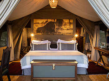 Mara Expedition Camp: Doppelbett im Gästezelt