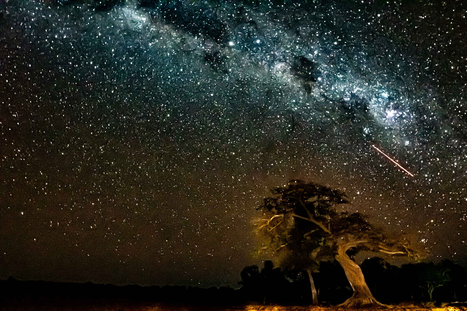 Mwamba Bush Camp: Sternenhimmel Mwamba Bush Camp: Sternenhimmel