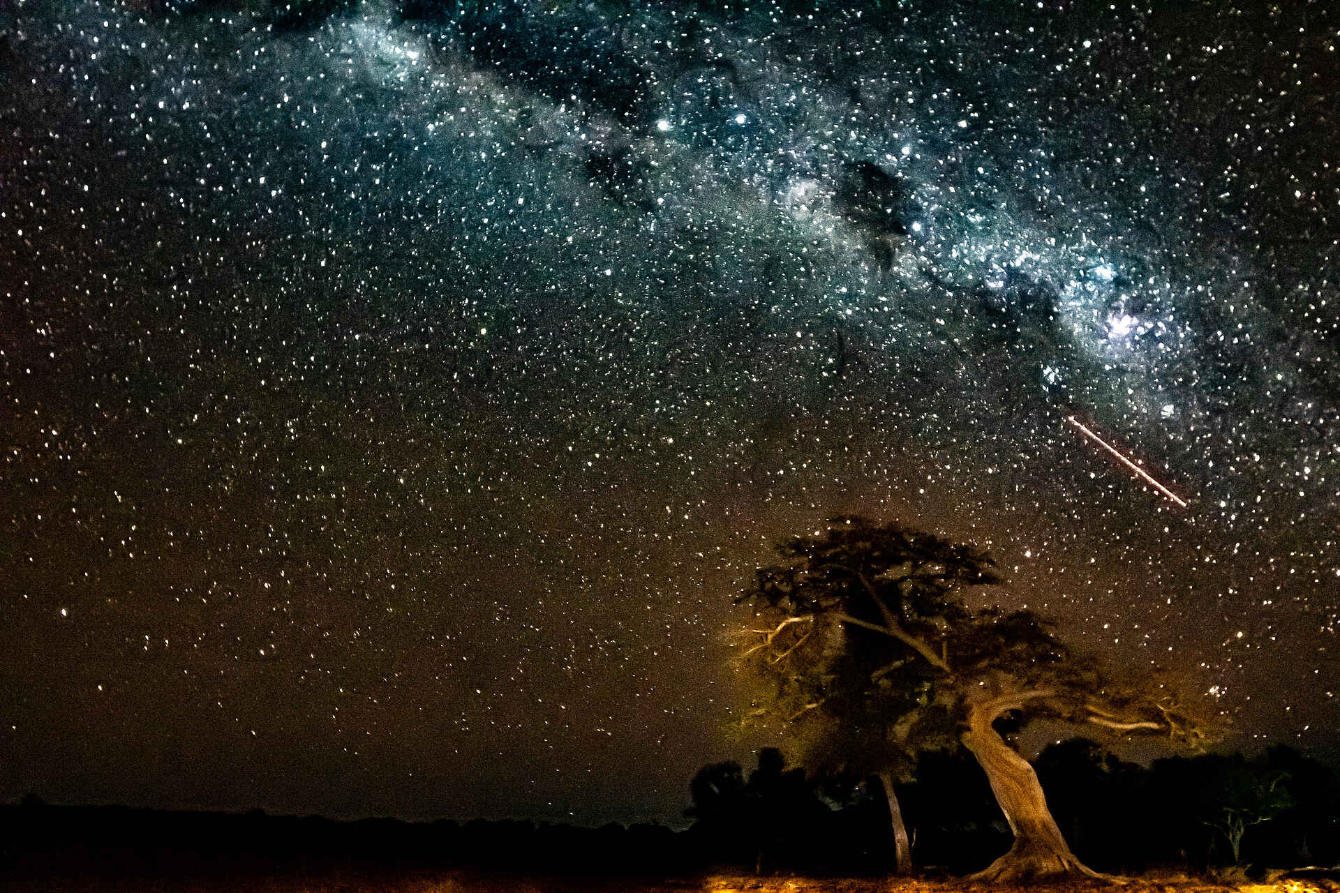 Mwamba Bush Camp: Sternenhimmel Mwamba Bush Camp: Sternenhimmel