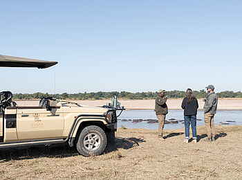 Shawa Luangwa Camp: Game Drive