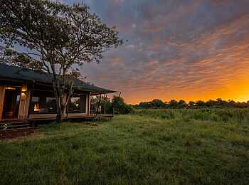 Wilderness Mara Camp: Family Suite Dämmerung