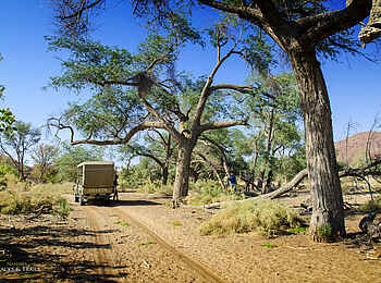 Ozondjou Trails: Schattige Pause