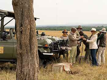 Paradise Plains Camp: Picknick auf Pirschfahrt