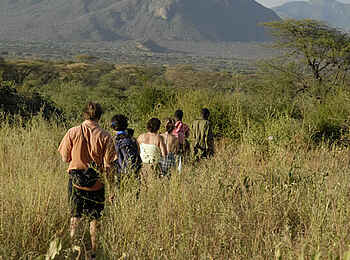 Sarara Tree: Single File Walking Sarara Tree: Single File Walking
