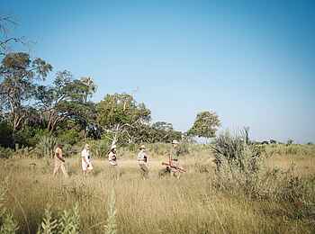 Cha Cha Metsi: Fußsafari Cha Cha Metsi: Fußsafari