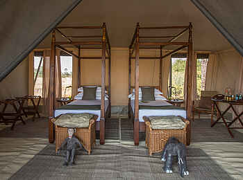 Chem Chem Lodge: Familieneinheit Chem Chem Lodge: Familieneinheit