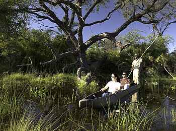Jacana Camp: Mokoro Jacana Camp: Mokoro
