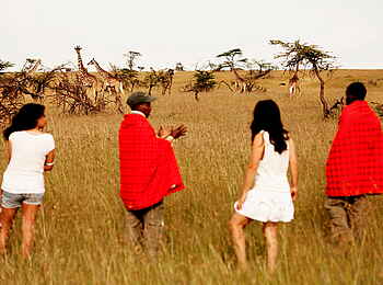 Karen Blixen Camp: Walking Safari Karen Blixen Camp: Walking Safari