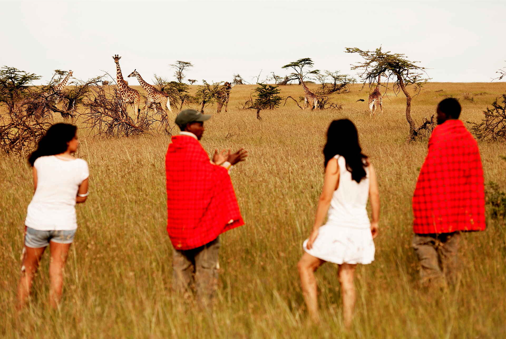 Karen Blixen Camp: Walking Safari Karen Blixen Camp: Walking Safari