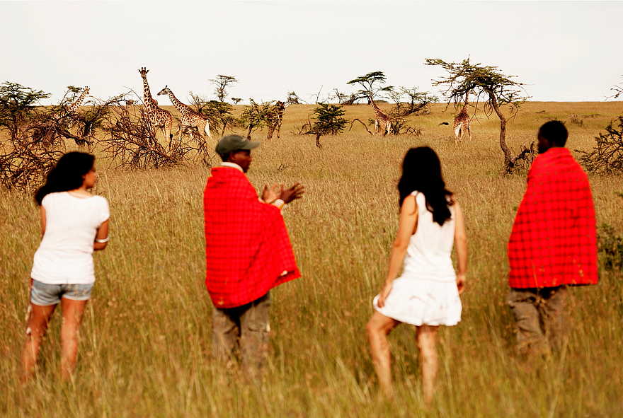 Karen Blixen Camp: Walking Safari Karen Blixen Camp: Walking Safari