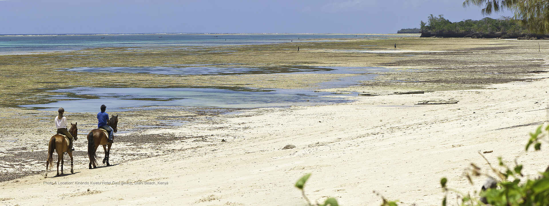 Kinondo Kwetu: Ausritt Africa, Afrika, Afrikarma, Baum- und Pflanzenschutz, Bilder, Buchen, Buchung, Delfine, Diani Beach, Engelhaie, Familie, Galu Beach, Ida und Filip Andersson, Indian Ocean, Indischer Ozean, Information, Informationen, Kaya Kinondo Sacred Forest, Kenia, Kenya, Kinder, Kinindo-Kwetu-Klinik, Kinondo, Kinondo Kwetu, Kinondo Kwetu Trust Fund, Kisite Marine Park, Kwale, Nachhaltigkeit, Ökologisch, Papageifische, Pferde, Privatstrand, Reise, Reiseveranstalter, Reiten, Safari, Sandstrand, Sauna, Shimba Hills, Shimba Hills National Reserve, Shimba Hills Nationalpark, Snake Conservancy, Spa, Sponsoring lokaler Projekte, Sport, Strand, The Safari Awards: Finalist 2014, Trip Advisor: Travelers’ Choice 2014, Urlaub, Vollpension, Walhaie, Walwanderung, Wasserrecycling, Wasserschutz, Wassersport, weißer Sandstrand, Wellness, Whale migration, www.afrikarma.de, Aktivitäten, Ausritt, blauer Himmel, Meer, Ozean, Reiten am Strand, Naturschutz, Pirschfahrt, Swahili-Stil, ocean, Luxus, Pool, Schnorcheln, Swimmingpool, Tauchen, Tennis