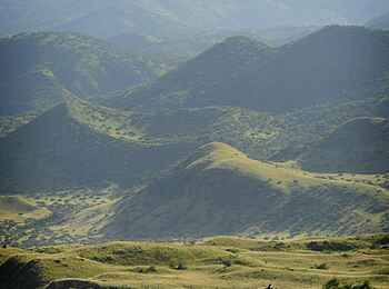 Lake Natron Camp: Giraffenherde