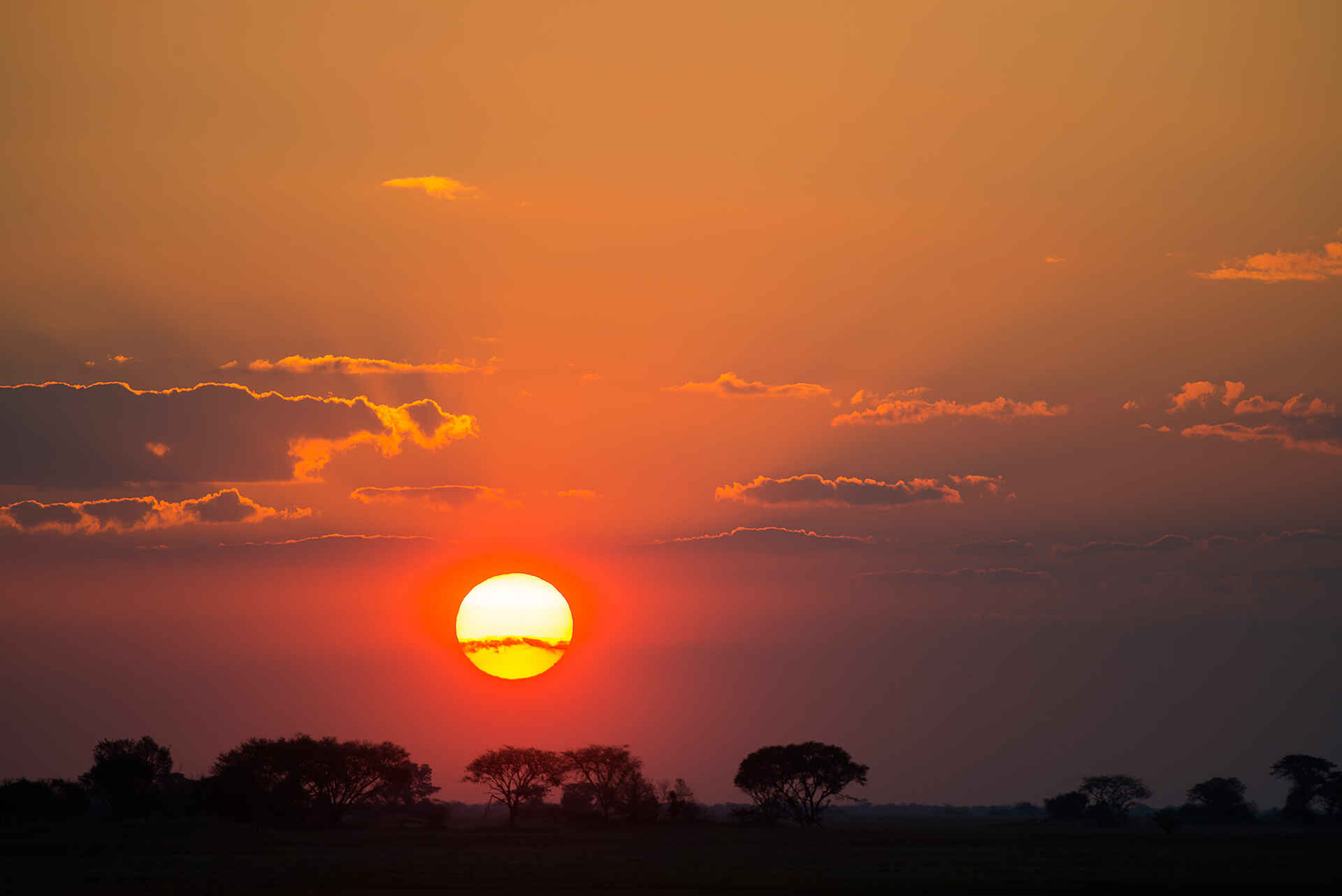 Mukambi Busanga Plains Camp: Afrikanischer Sonnenuntergang