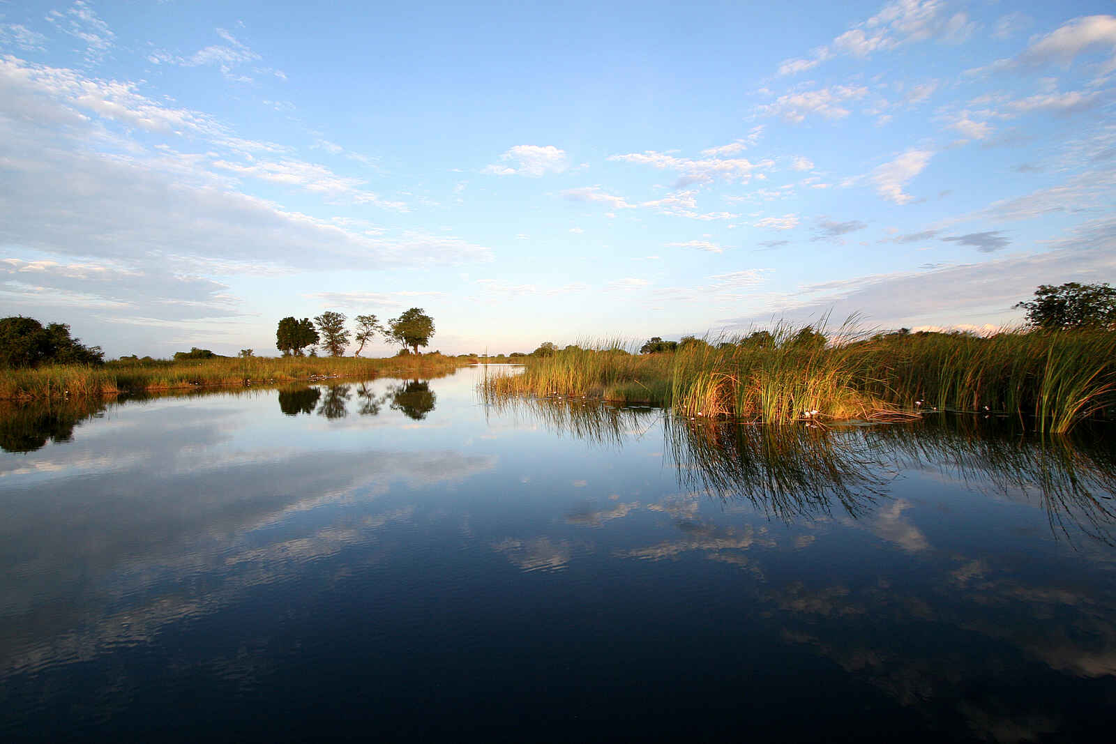 Nkasa Lupala Tented Lodge: Lagune Nkasa Lupala Tented Lodge: Lagune