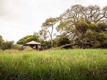 Sanctuary Swala: Ein Gästezelt