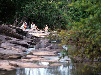 Sand Rivers Selous: Picknick am Fluss