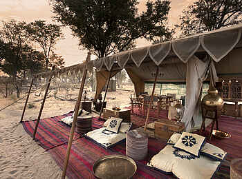 Selinda Explorers Camp: Orientalische Kissen vor dem Zelt Selinda Explorers Camp: Orientalische Kissen vor dem Zelt